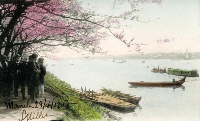 Cherry blossom at Mukojima, Tokio