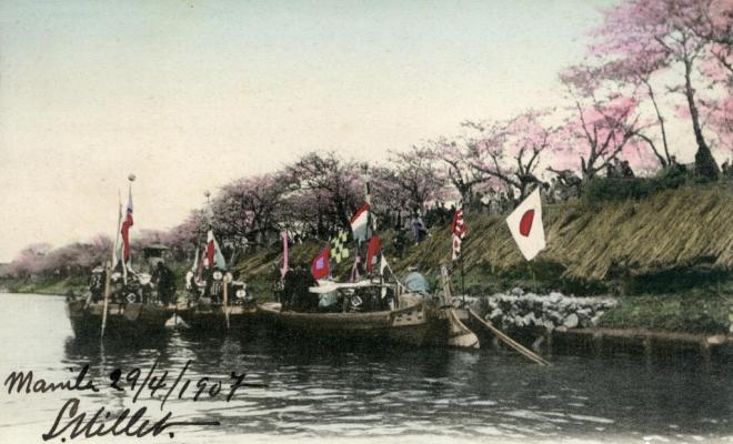 Cherry blossom at Mukojima, Tokio