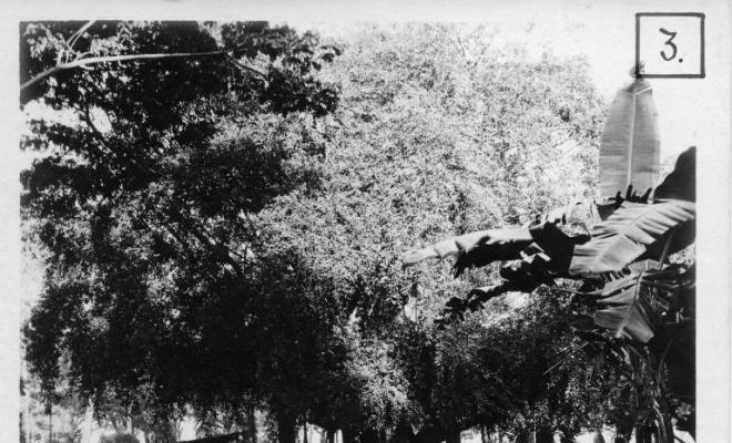 Salvador Millet Villà en un parc