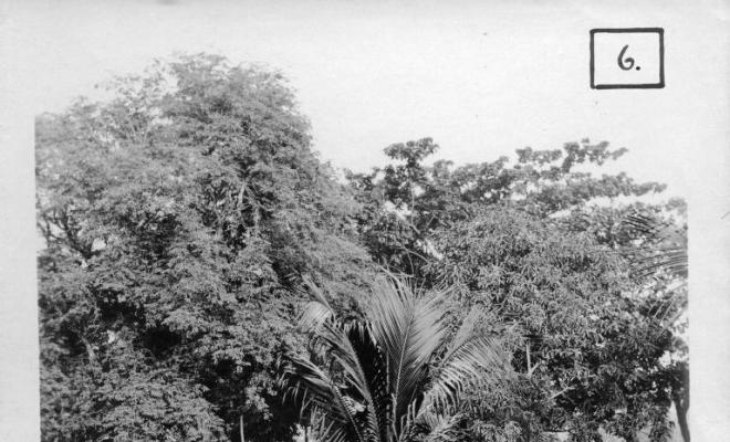 Salvador Millet Villà amb un amic en un parc