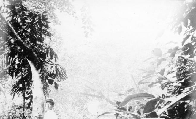 Salvador Millet Villà amb altres homes a la selva