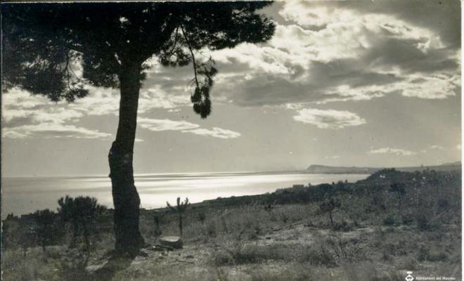 Paisatge del Masnou des del pi de l'Indià?
