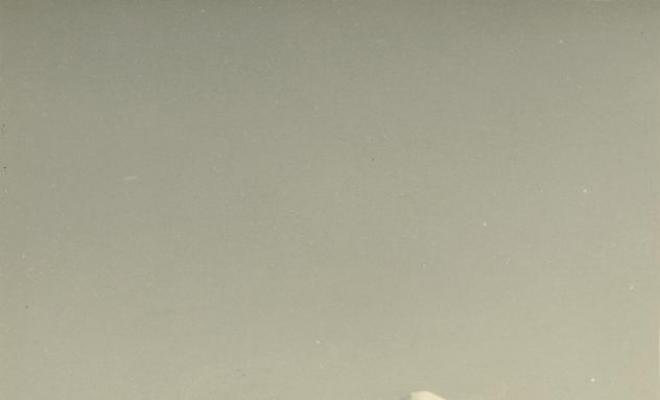 Retrat de Teresa Torres i Casals