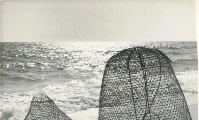 Nanses de pesca