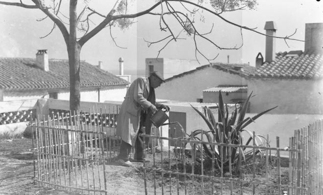 Un home regant una planta al carrer de la Caterra?