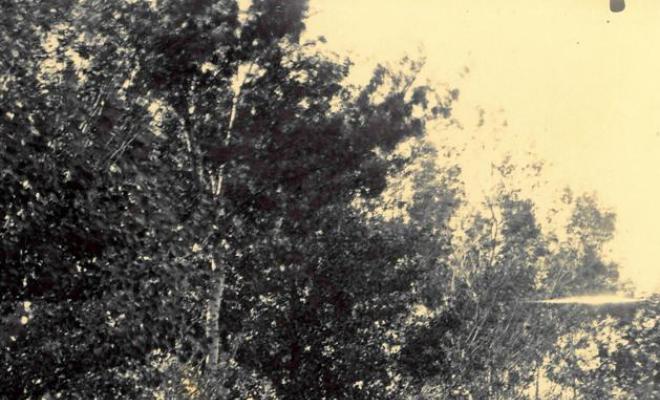 Home i nen caçant a un camí forestal a Castelló d'Empúries