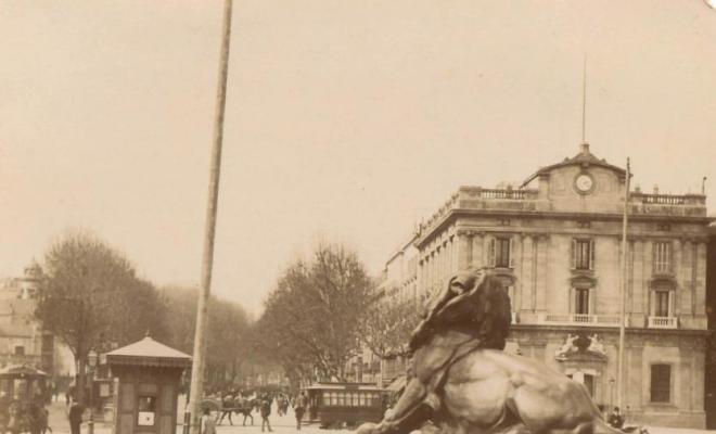 Lleó del monument de Colom, a Barcelona