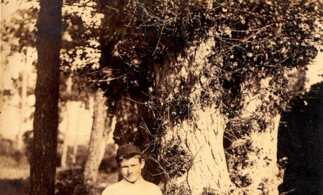 Nens davant d'un arbre a Montornès
