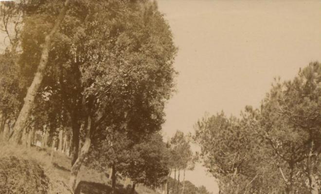 Gent passejant per un camí a Vallvidrera