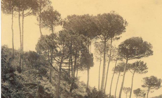 Gent passejant per un camí a Vallvidrera