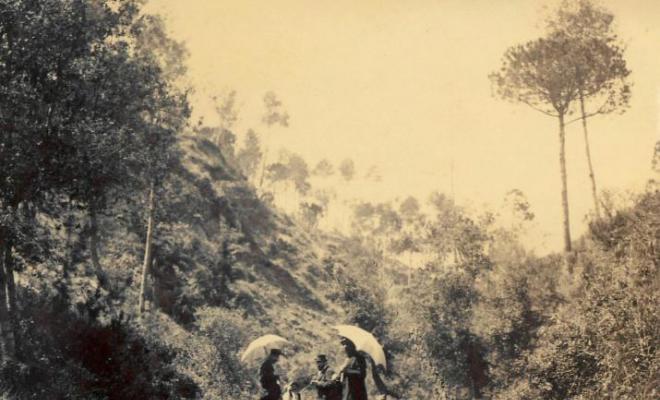 Gent passejant per un camí a Vallvidrera