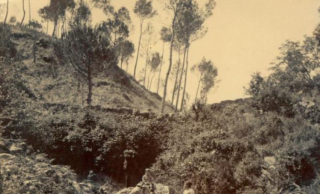 Gent al camp a Vallvidrera