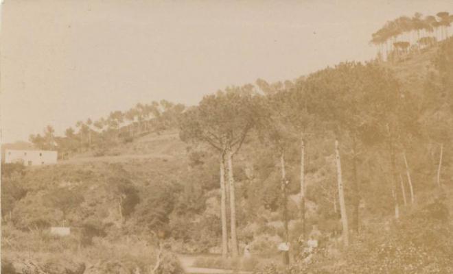 Rierol a Vallvidrera