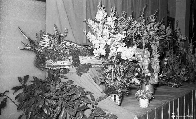 Fira de mostres a l'escola Ocata