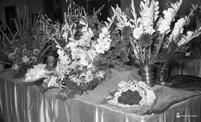 Fira de mostres a l'escola Ocata