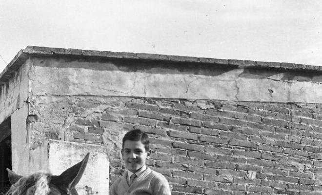 Festa de Sant Antoni (Tres tombs)