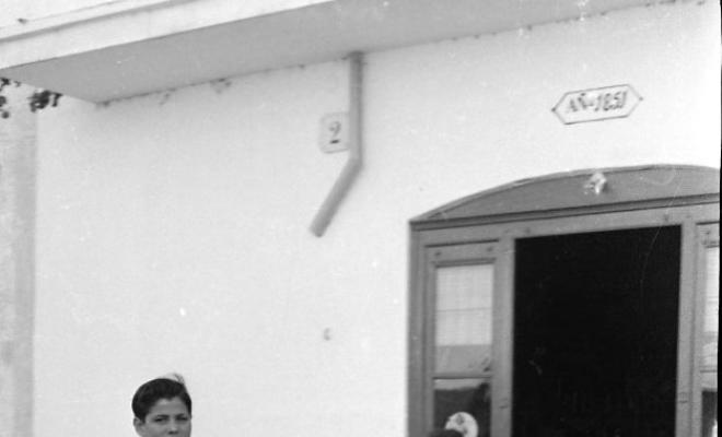 Festa de Sant Antoni (Tres tombs)