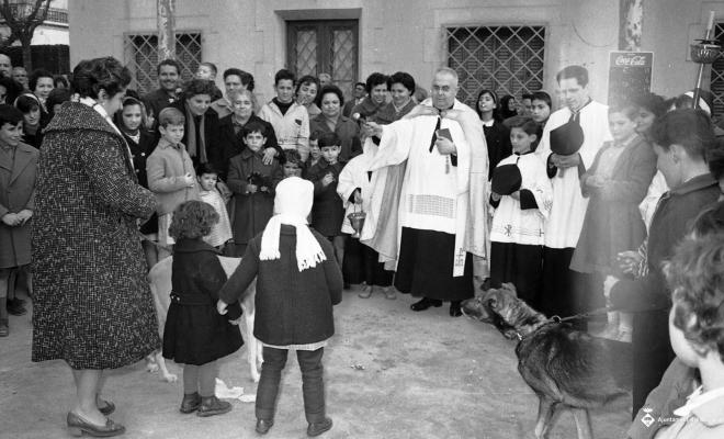Festa de Sant Antoni (Tres Tombs)