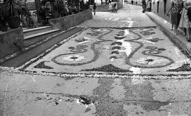 Corpus, altars i catifes de flors
