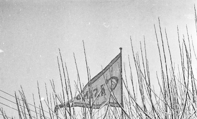 Nevada del 62