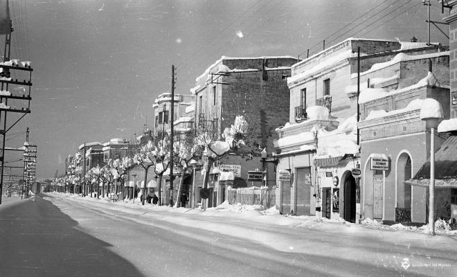 Nevada del 62