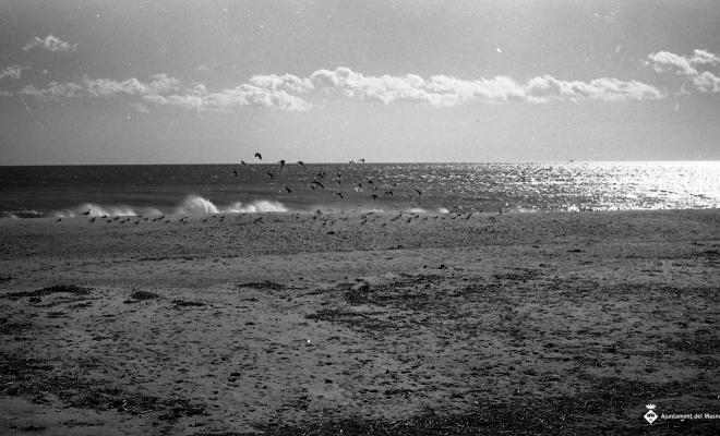 Platja, façana marítima