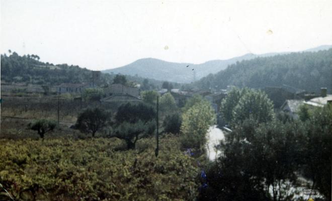 Vinyes de ca la Rafela i ca l'Anzí
