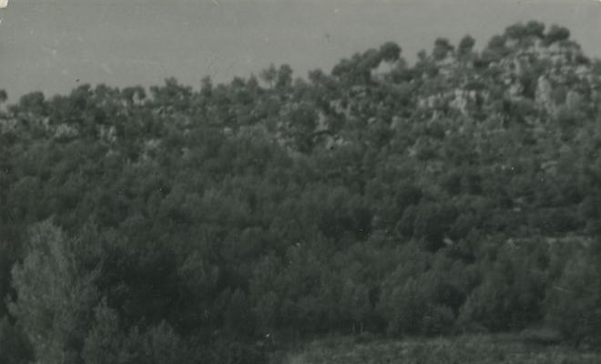 Àvia i nena en un camí entre vinyes