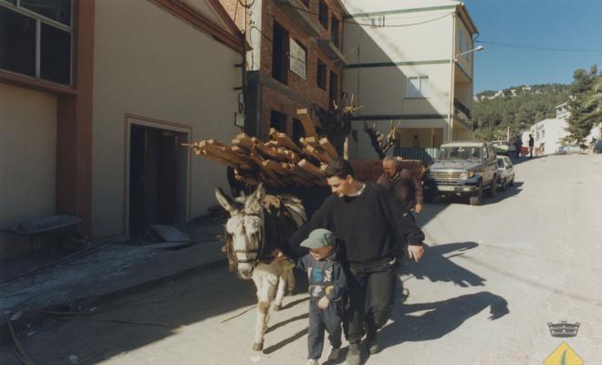 Retirada dels llistons del cel ras amb carro arrossegat per un ruc durant les obres de manteniment de l'Aliança Palmarenca