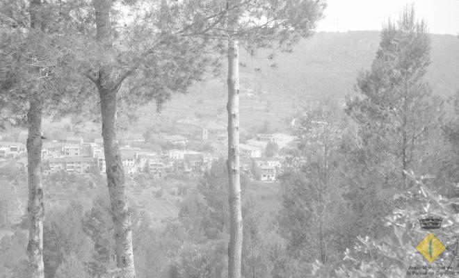 Vista general de la Palma de Cervelló