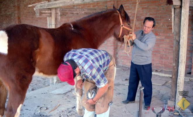 Josep Planas ferrant un cavall