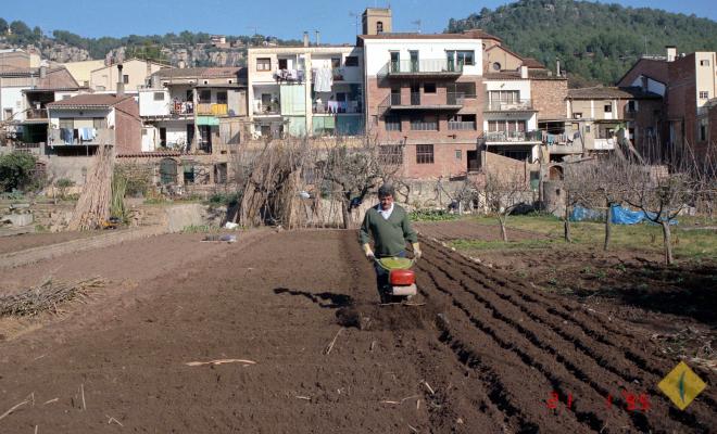 Un hortolà llaurant l'hort amb un motocultor