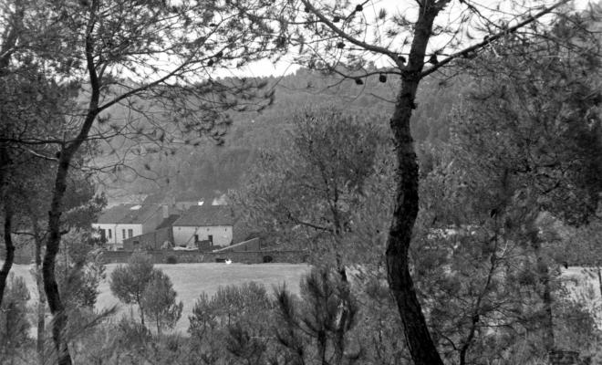 Vista del camp de futbol nou de la Palma