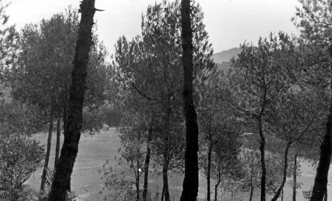 Vista del camp de futbol nou de la Palma