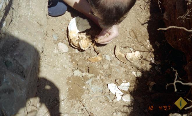 Excavació arqueològica a Sant Joan del Pla o de l'Erm