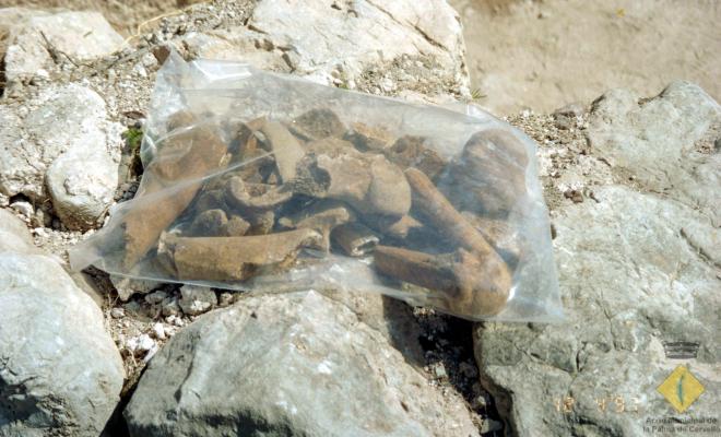 Excavació arqueològica a Sant Joan del Pla o de l'Erm