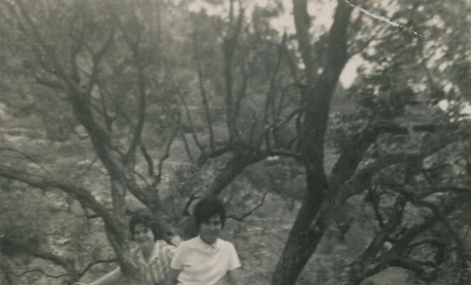 Dones i infant en una olivera al camí de Santa Rita