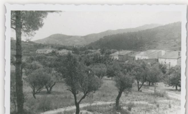 Antic camp d'arbres fruiters just abans de construir-hi el nou camp de futbol