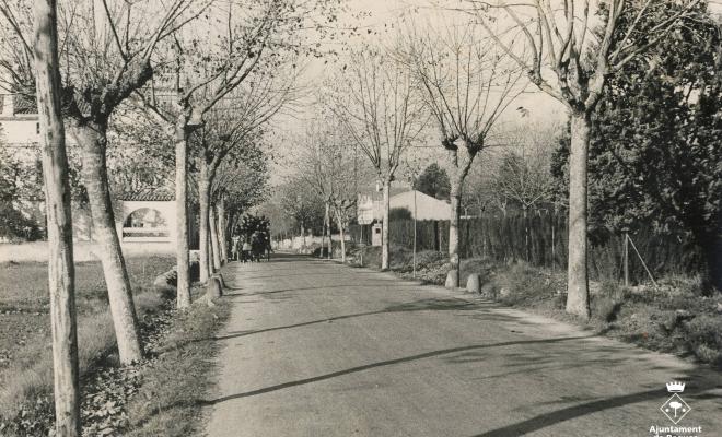 Avinguda Torres Vilaró
