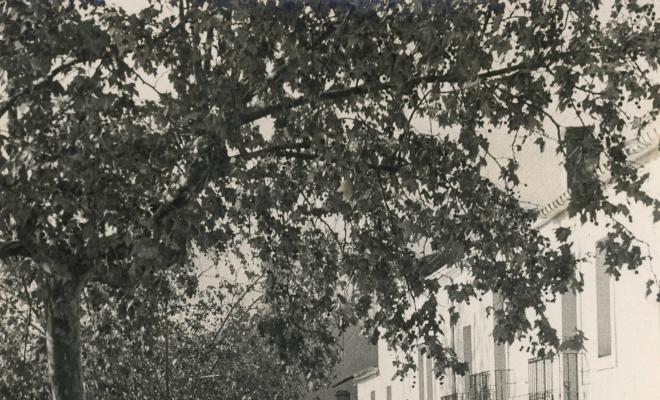 Carrer Sant Domènec