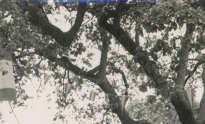 Inauguració de la font a la plaça Camilo Riu