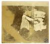 Infants. S.l.