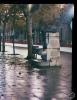 La Font del Nano a la Rambla de Sabadell de nit