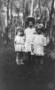 Infants en un bosc