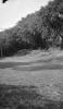 Camp d'herba