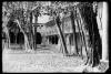 Claustre del Monestir de Sant Cugat del Vallès
