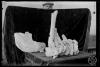 Restes fòssils trobades en les excavacions en el túnel dels FF.CC (Ferrocarrils catalans).  Museu de Paleontologia. Sabadell