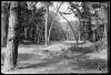 Bosc de Can Feu. Sabadell