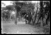 Bosc de Can Feu. Sabadell