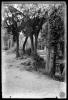 Bosc de Can Feu. Sabadell